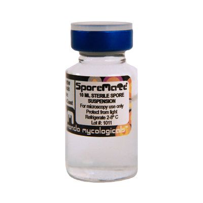 Orissa India Cubensis Esporas-263